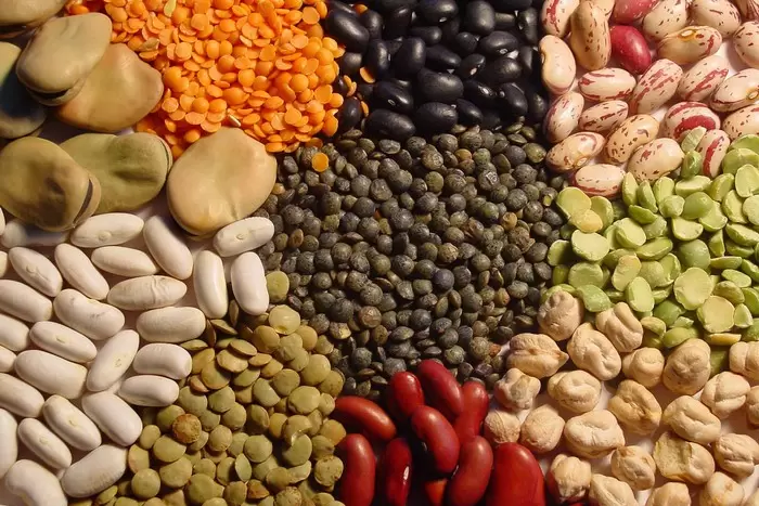 ایران از ارکان اصلی برنامه به نژادی گندم دنیا و پیشرو در اصلاح نژاد گندم، حبوبات و جو
