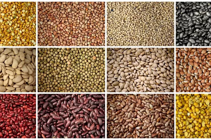 اجرای طرح بین المللی ایکاردا برای دومین سال متوالی در لرستان