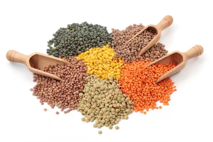 عدس کوچک اما مغذی. ساده اما پرفایده