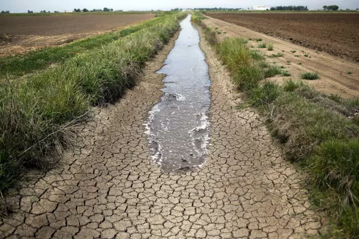 افزایش سالانه 6 درصدی بهره وری آب در بخش کشاورزی طی پنج سال اخیر