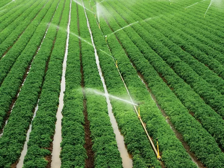صرفه جویی سالانه 7.9 میلیارد متر مکعب آب مصرفی بخش کشاورزی