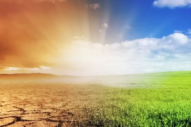 همکاری فائو با ایران برای مقابله با خشکسالی و چالش های بیابان زایی