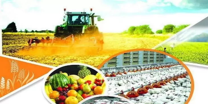 سهم تشکل ها و تعاونی های صنفی بخش کشاورزی در کاهش نوسانات قیمت نهاده ها در بازار