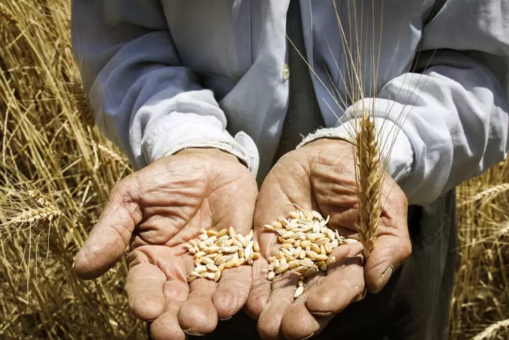 حمایت سالانه 317 میلیارد دلار کشورهای (OECD) از بخش کشاورزی
