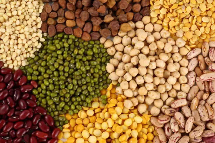 برداشت بیش از 11 هزار تن حبوبات از مزارع خراسان شمالی