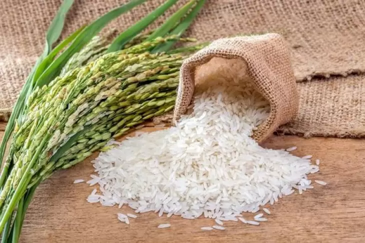 تولید 2.2میلیون تن برنج در کشور