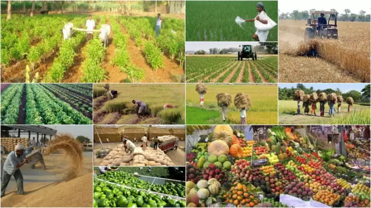 تولید سالانه بیش از 260 میلیون تن تولیدات کشاورزی در کشور