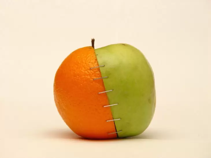 ممنوعیت صادرات سیب و پرتقال