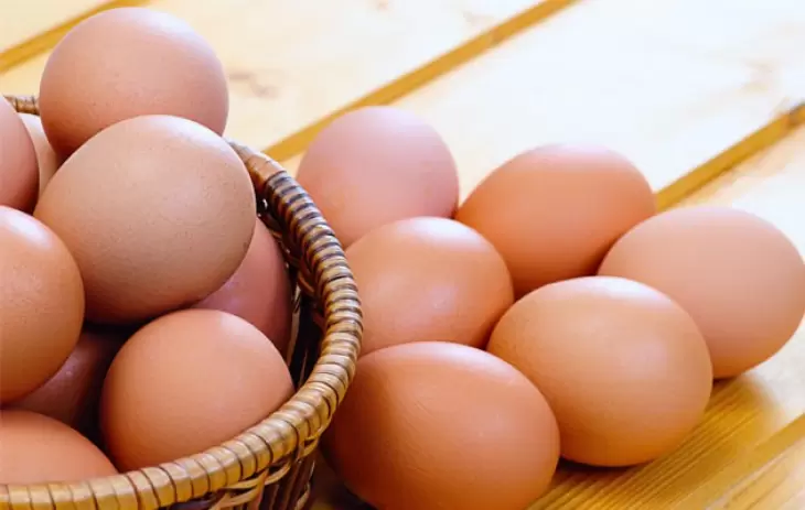 صادرات تخم مرغ، در انتظار قیمت تمام شده
