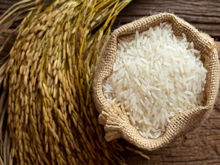 برداشته شدن ممنوعیت واردات برنج در فصل برداشت