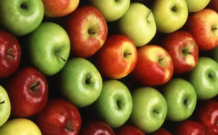 واردات بیش از 13 تن سیب تازه به کشور