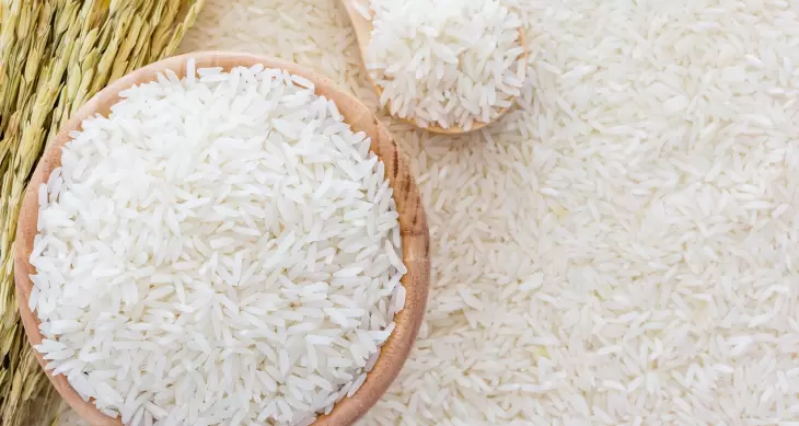 ممنوعیت واردات برنج در فصل برداشت