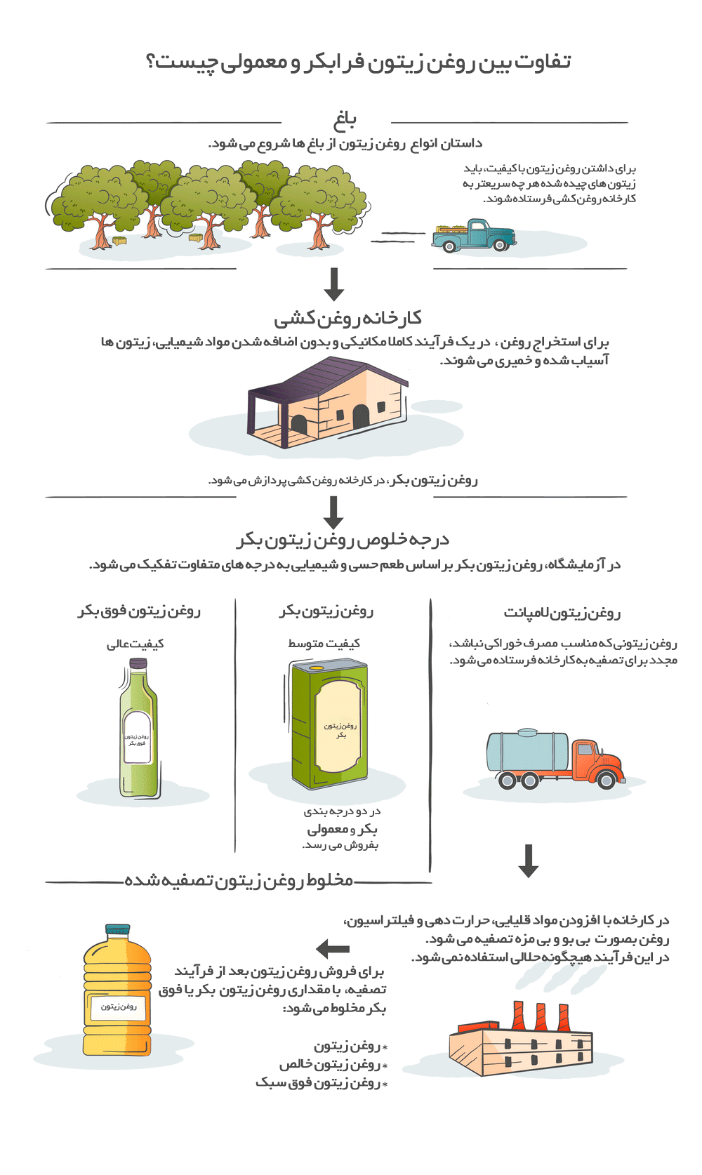 روغن زیتون.jpg