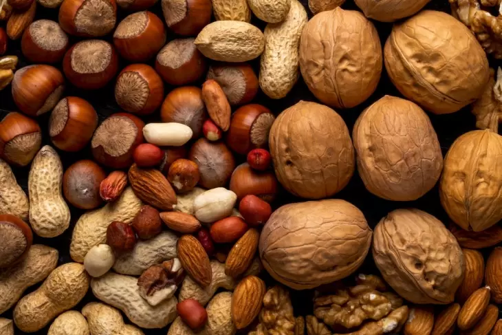 گزارش تولیدات و تجارت جهانی آجیل
