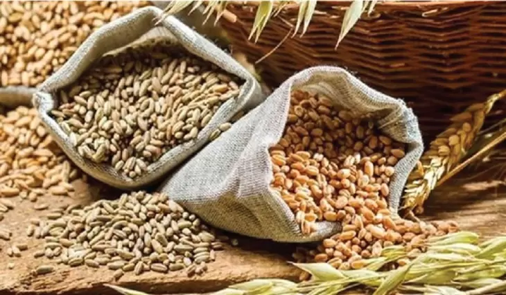 آخرین پیش بینی کلی تولید غلات جهان- جولای 2022